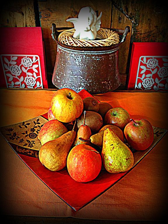 Romans d'Isonzo Agriturismo Borgovecchio מראה חיצוני תמונה