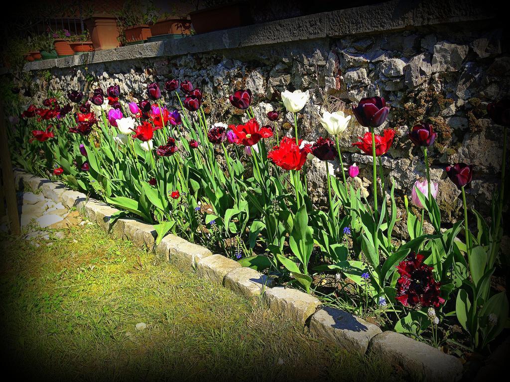 Romans d'Isonzo Agriturismo Borgovecchio מראה חיצוני תמונה