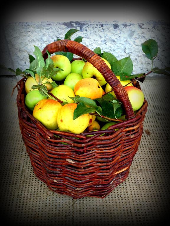 Romans d'Isonzo Agriturismo Borgovecchio מראה חיצוני תמונה