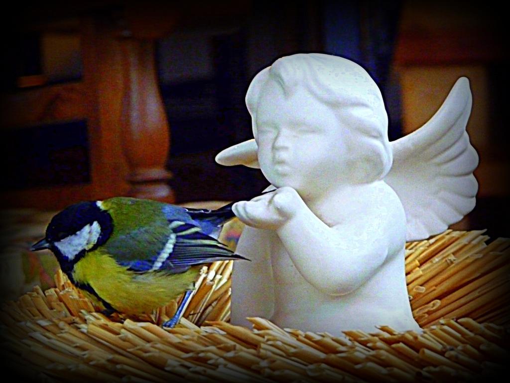 Romans d'Isonzo Agriturismo Borgovecchio מראה חיצוני תמונה