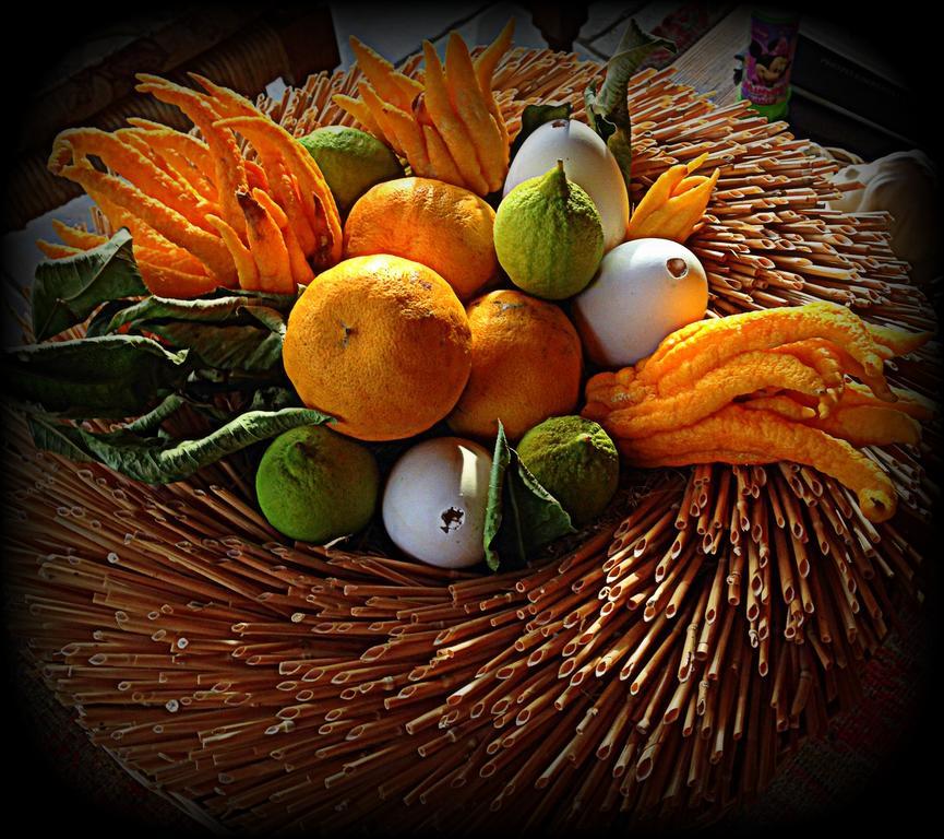 Romans d'Isonzo Agriturismo Borgovecchio מראה חיצוני תמונה
